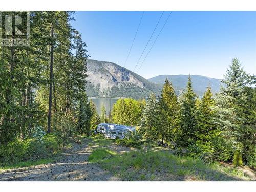 2030 Canoe Beach Drive Ne, Salmon Arm, BC - Outdoor With View