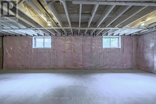 17 Spruce Crescent, North Middlesex (Parkhill), ON - Indoor Photo Showing Basement