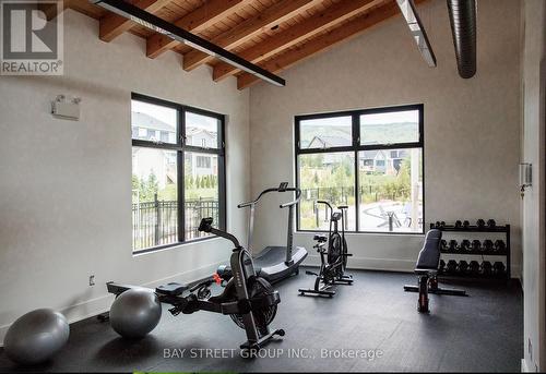 142 Yellow Birch Crescent, Blue Mountains, ON - Indoor Photo Showing Gym Room
