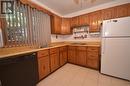 436 Frood Road, Sudbury, ON  - Indoor Photo Showing Kitchen With Double Sink 