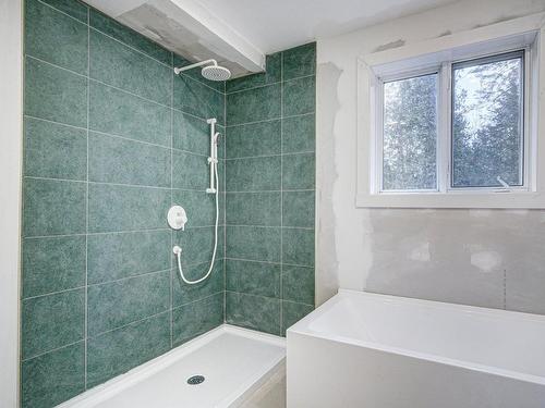 Salle de bains - 120 Ch. De La Montagne-Cachée, Chertsey, QC - Indoor Photo Showing Bathroom