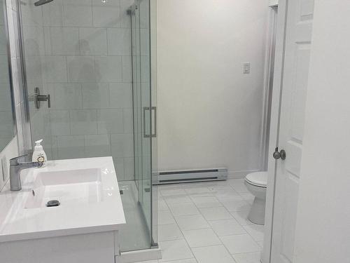 Salle de bains - 2234  - 2236 Ch. Du Tour-Du-Lac, Nominingue, QC - Indoor Photo Showing Bathroom