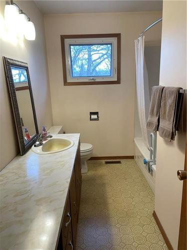 54093 Road 63 Road W, Austin, MB - Indoor Photo Showing Bathroom