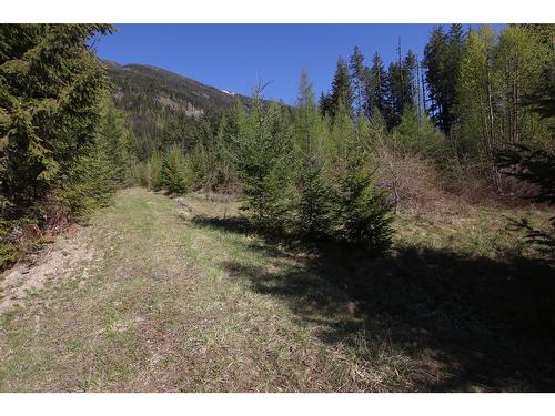 4570 Highway 6, Arrow Park, BC - Outdoor With View