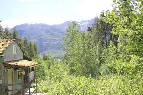 4570 Highway 6, Arrow Park, BC - Outdoor With View