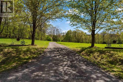 14892 Highway 62, Madoc, ON - Outdoor With View