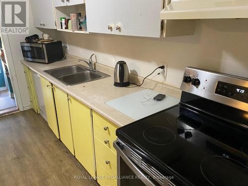 1045 Ward Street, Smith-Ennismore-Lakefield, ON - Indoor Photo Showing Kitchen With Double Sink