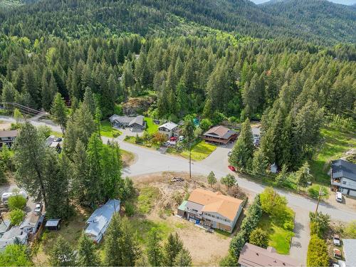 60 Chase Rd, Christina Lake, BC - Outdoor With View