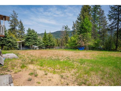 60 Chase Rd, Christina Lake, BC - Outdoor