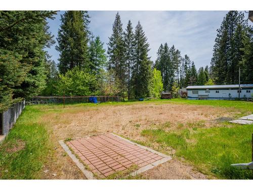 60 Chase Rd, Christina Lake, BC - Outdoor With Backyard