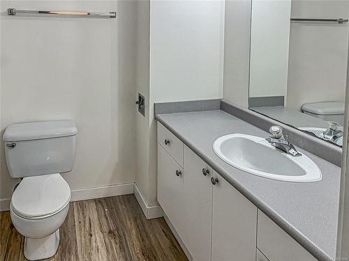 171 North Shore Rd, Lake Cowichan, BC - Indoor Photo Showing Bathroom