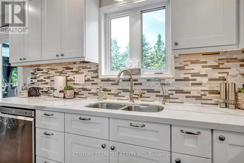 117 O'Reilly Lane, Kawartha Lakes, ON - Indoor Photo Showing Kitchen With Double Sink