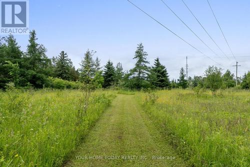 8906 Wellington Road 50, Erin, ON - Outdoor With View