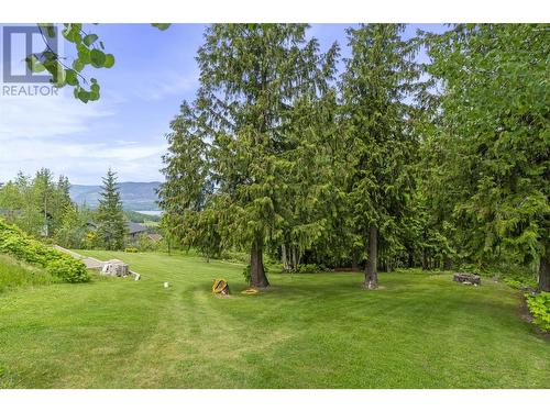 5121 Ivy Road, Eagle Bay, BC - Outdoor With View