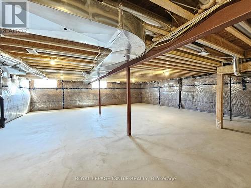 28 Bayberry Drive, Adjala-Tosorontio, ON - Indoor Photo Showing Basement