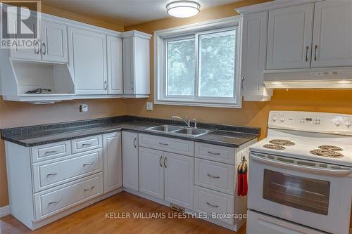 88 Dudley Crescent, London, ON - Indoor Photo Showing Kitchen With Double Sink