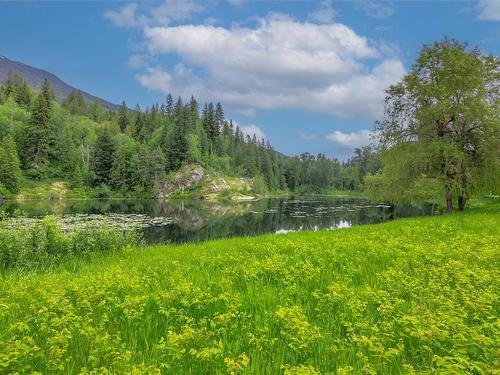 2882 Airport Way, Revelstoke, BC - Outdoor With View