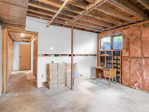 2882 Airport Way, Revelstoke, BC - Indoor Photo Showing Basement