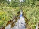 Bord de l'eau - 1Er Rang De Doncaster, Val-David, QC 