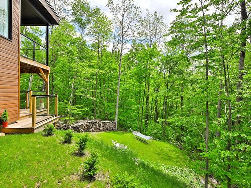 Backyard - 29 Rue Oak, Bolton-Est, QC - Outdoor