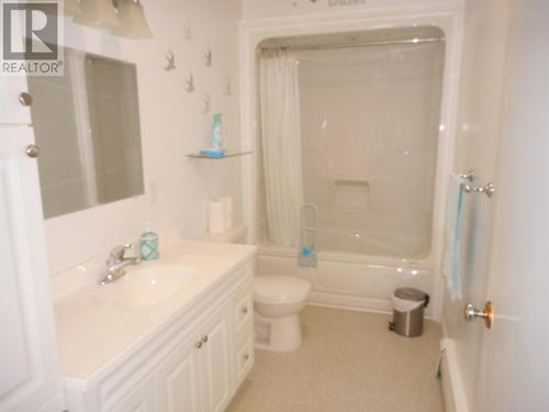 11 Spencers Lane, Springdale, NL - Indoor Photo Showing Bathroom