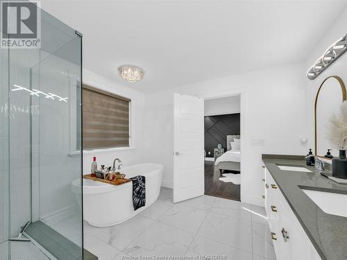 1077 Chateau Avenue, Windsor, ON - Indoor Photo Showing Bathroom