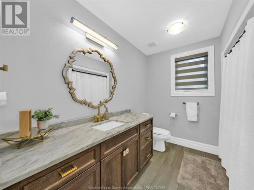 1077 Chateau Avenue, Windsor, ON - Indoor Photo Showing Bathroom