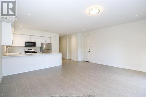 233 Watson Unit# 106, Windsor, ON - Indoor Photo Showing Kitchen