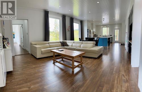 10 Keith Street, Massey Drive, NL - Indoor Photo Showing Living Room