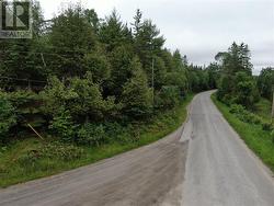 The intersection of Pucker St & Ashdad Rd - 