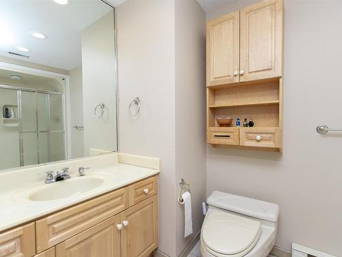 300 Riverside Drive, Thunder Bay, ON - Indoor Photo Showing Bathroom
