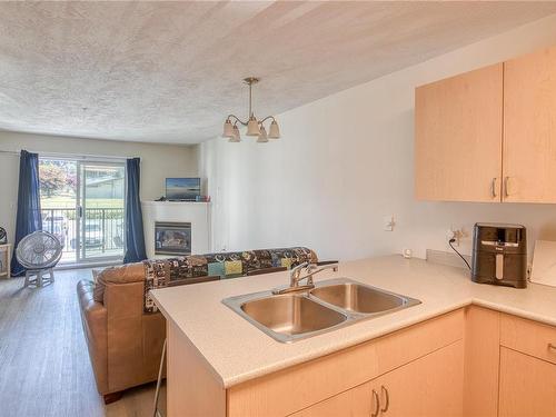 202-3855 11Th Ave, Port Alberni, BC - Indoor Photo Showing Kitchen With Fireplace With Double Sink