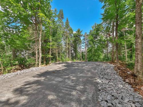 Land/Lot - Ch. De La Cordée, Notre-Dame-De-La-Merci, QC 