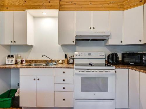 Cuisine - 135  - 137 Rue Du Rapide, Mont-Tremblant, QC - Indoor Photo Showing Kitchen With Double Sink