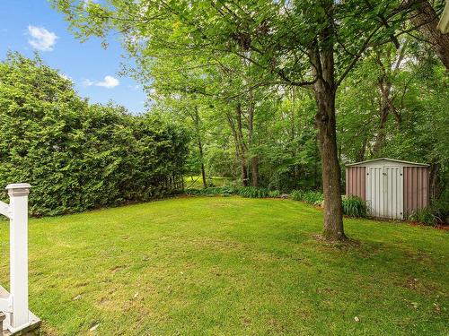 Backyard - 103 Rue De Capri, Cowansville, QC - Outdoor