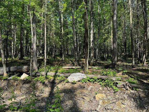 Land/Lot - Rue Non Disponible-Unavailable, Sainte-Thérèse-De-La-Gatineau, QC 