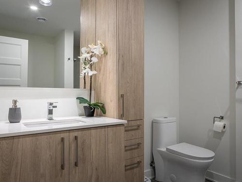 Bathroom - 1018-705 Av. Pierre-Dansereau, Terrebonne (Terrebonne), QC - Indoor Photo Showing Bathroom