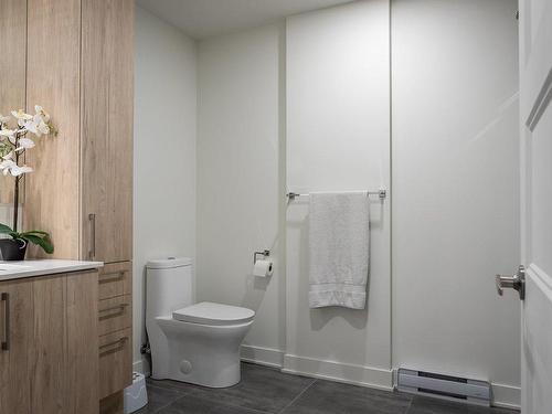 Bathroom - 1018-705 Av. Pierre-Dansereau, Terrebonne (Terrebonne), QC - Indoor Photo Showing Bathroom