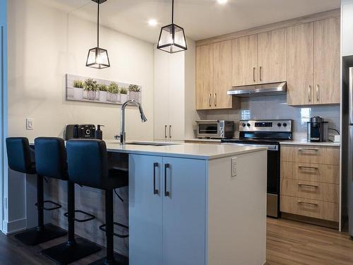 Cuisine - 1024-705 Av. Pierre-Dansereau, Terrebonne (Terrebonne), QC - Indoor Photo Showing Kitchen