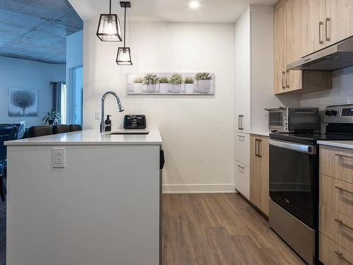 Cuisine - 1024-705 Av. Pierre-Dansereau, Terrebonne (Terrebonne), QC - Indoor Photo Showing Kitchen