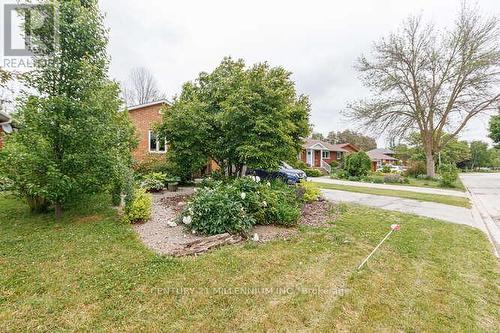 96 Lockhart Road, Collingwood, ON - Outdoor