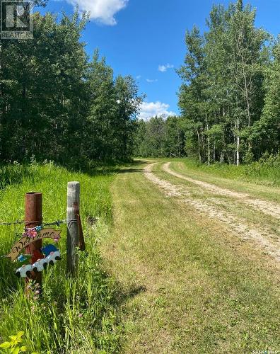 Turtle Lake Evergreen Acres-19.67 Acres, Turtle Lake, SK 