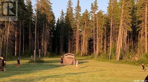 Turtle Lake Evergreen Acres-19.67 Acres, Turtle Lake, SK 