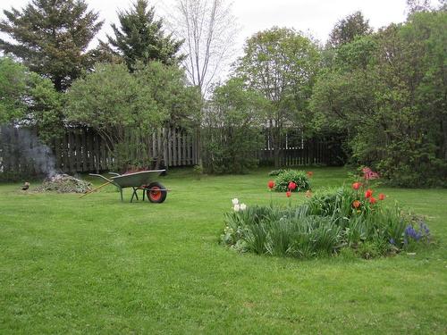 Backyard - 501  - 503 Rue St-Patrice, Saint-Patrice-De-Sherrington, QC - Outdoor