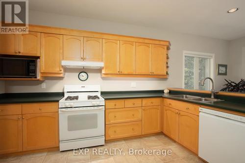 127 Glenridge Crescent, London, ON - Indoor Photo Showing Kitchen With Double Sink