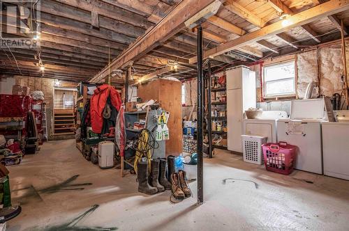 610 Salmonier Line, Salmonier Line, NL - Indoor Photo Showing Basement