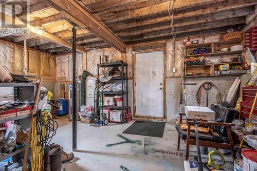 610 Salmonier Line, Salmonier Line, NL - Indoor Photo Showing Basement