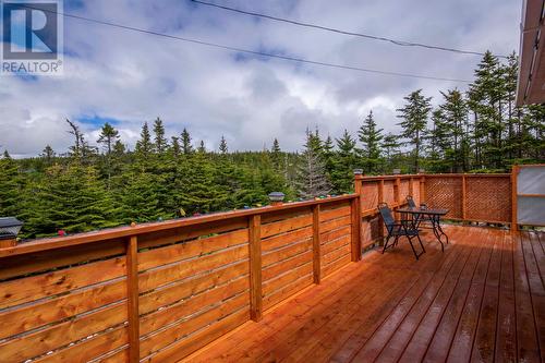 610 Salmonier Line, Salmonier Line, NL - Outdoor