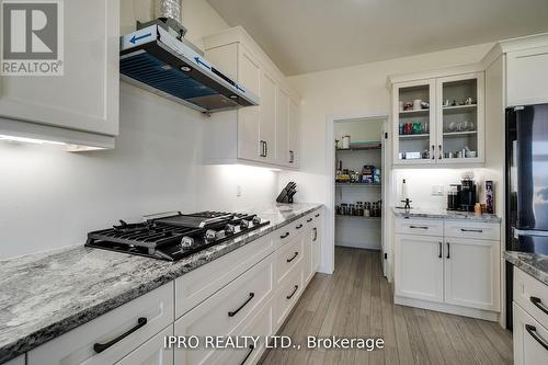 12 Hudson Drive, Brant (Brantford Twp), ON - Indoor Photo Showing Kitchen With Upgraded Kitchen