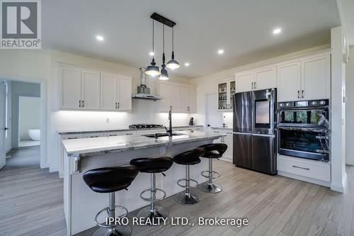 12 Hudson Drive, Brant (Brantford Twp), ON - Indoor Photo Showing Kitchen With Upgraded Kitchen